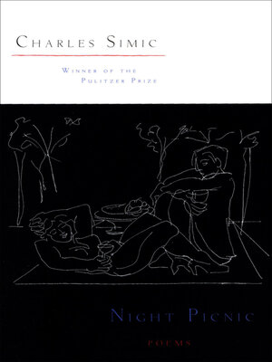 cover image of Night Picnic